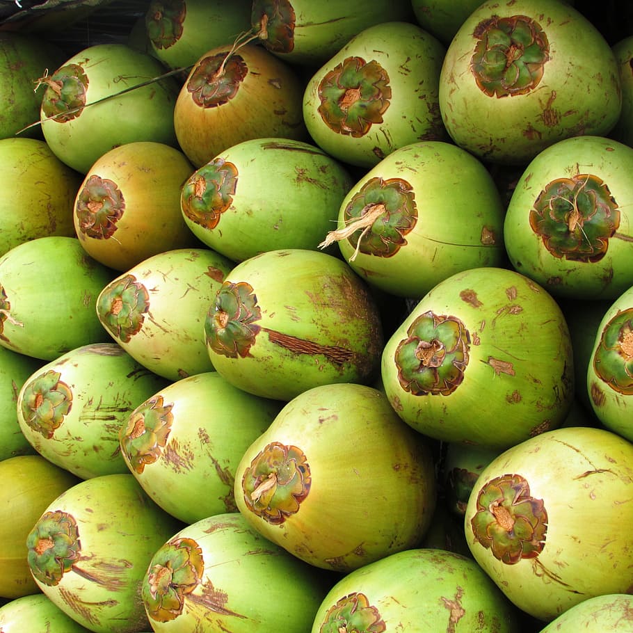cocos, fruita, coco, llavor, verd, drupa, tropical, exòtic, shiggaon, Índia, pila, mercat, menjar i beguda, menjar, alimentació saludable, color verd, frescor, benestar, gran grup d'objectes, a la venda, fons, cap gent, fruita de mango, marc complet, abundància, Paradeta, fruita tropical, natura morta, venda al detall, dia, madur, 2K