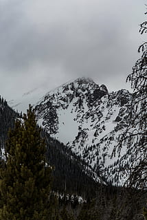 cobert de neu, muntanya, ennuvolat, dia, neu, hivern, blanc, fred, temps, gel, arbres, plantes, naturalesa, boscos, bosc, viatjar, aventura, escalar, trek, caminada, núvol, cel, arbre, Serra, pi, temperatura de fred, núvol - cel, planta, bellesa a la natura, tranquil·litat, escenics - natura, escena tranquil·la, cap gent, muntanya nevada, escena no urbana, creixement, medi ambient, arbre de coníferes, cim de muntanya, 5K, CC0, domini públic, lliure de regalies