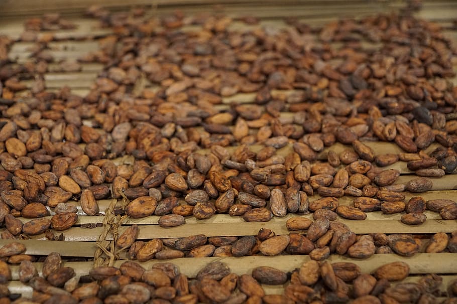 chicchi di caffè, bere, caffè, fagioli, fotogramma intero, nessuno, sfondi, giorno, all'aperto, natura, cibo e bevande, cibo, grande gruppo di oggetti, abbondanza, Marrone, freschezza, avvicinamento, natura morta, messa a fuoco selettiva, in casa, caffè - bevanda, mangiare sano, chicco di caffè crudo, vista dall'alto, tavolo, benessere, tentazione, 5K
