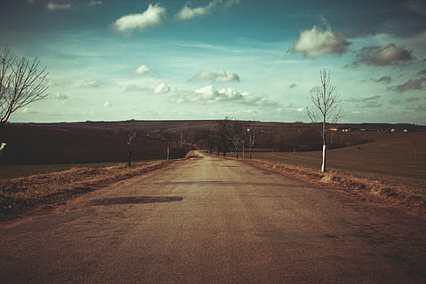grey, road, daytime, brown, calm, clouds, cloudy, country, cyan, fields, hills, quiet, roads, trees, nature, landscape, no People, sky, rural Scene, outdoors, desert, scenics, cloud - sky, the way forward, direction, environment, transportation, tranquility, tranquil scene, land, diminishing perspective, tree, scenics - nature, day, beauty in nature, field, dirt, 4K