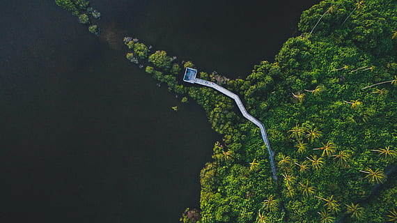 Vogelperspektive, Wald, Fluss, Antenne, Fotografie, Insel, bedeckt, Bäume, Luftaufnahmen, Inselchen, Grün, Gewässer, tagsüber, Natur, Luftaufnahme, grüne Farbe, High Angle View, Wasser, Landschaft, szenen, draußen, Baum, Reise, keine Leute, Schönheit in der Natur, Pflanze, Wachstum, Tag, Transport, Umgebung, Land, Tier, Straße, Szenen - Natur, kopieren sie platz, 4K, CC0, gemeinfrei, lizenzfrei