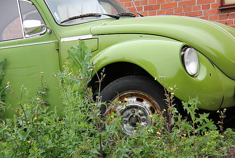 vw, araba, hurda, pas, yeşil, ulaşım modu, kara taşıtı, taşımacılık, Motorlu araç, yeşil renk, gün, retro tarz, bitki, insansız, açık havada, terkedilmiş, eski, eski model araba, sabit, doğa, metal, kamyonet, tekerlek, lastik, kişisel kara taşıtı, 5K, CC0, kamu malı, telif ücretsiz
