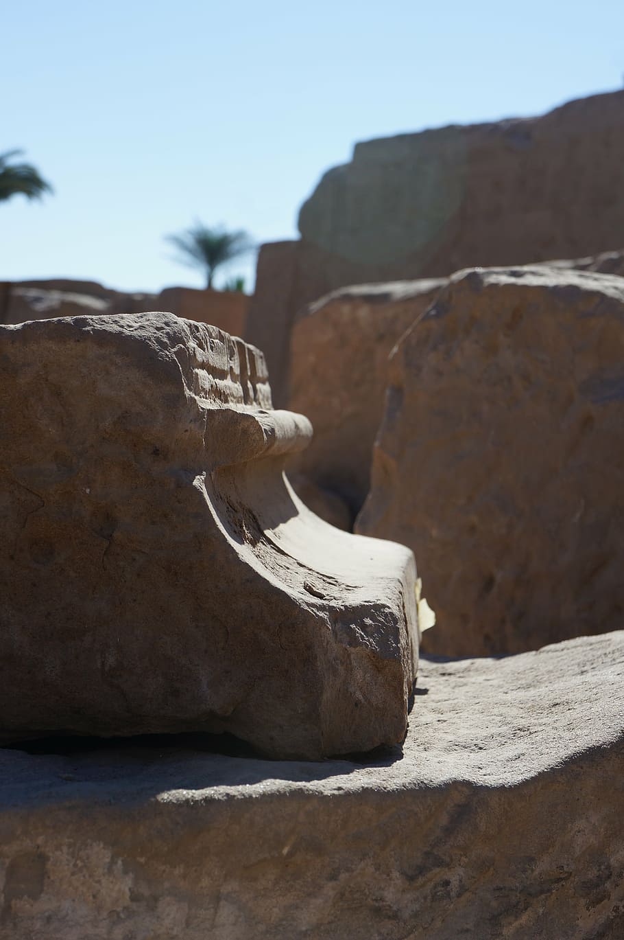 pietra, profilo, vecchio, muro di pietra, Egitto, tempio, pianta, sole, muratura di pietra, roccia, natura, roccia - oggetto, cielo, solido, luce del sole, nessuno, giorno, la tranquillità, formazione rocciosa, terra, concentrarsi sulle conoscenze acquisite, cielo sereno, all'aperto, scena tranquilla, geologia, ambiente, montagna, geografia fisica, avvicinamento, clima arido, eroso, 4K