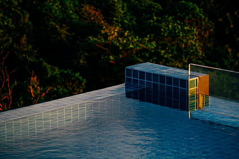 person, showing, swimming, pool, dusk, outdoors, poolside, sunset, swimming pool, tiles, trees, water, nature, day, no people, blue, plant, focus on foreground, sunlight, waterfront, tree, reflection, floating, floating on water, high angle view, barrier, yellow, 4K, CC0, public domain, royalty free