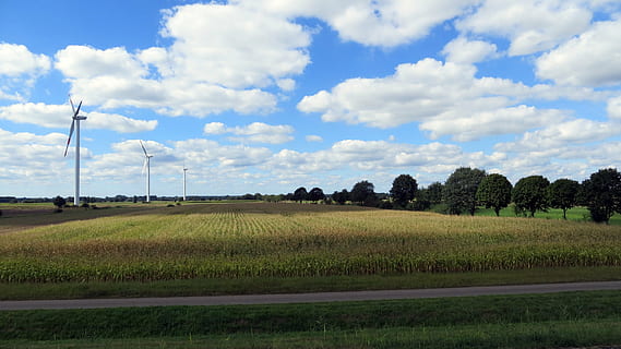 peisaj, ciclurile ciclului, cicliști, idilic, bicicletă, cal, ciclism tur, raportat, câmpuri, turbine eoliene, nori, cer, nor - cer, mediu inconjurator, plantă, agricultură, rural, teren, o scenă liniștită, scenice - natura, camp, liniște, fermă, frumusețe în natură, copac, creştere, natură, nici o persoana, a decupa, zi, în aer liber, 2K, CC0, domeniu public, fără drepturi de autor
