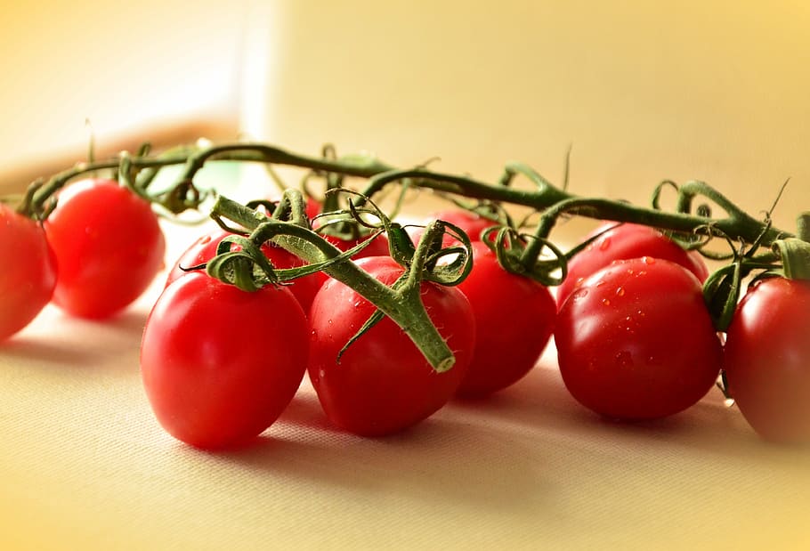 Kirschtomaten, Binder, Tomaten, rot, Gemüse, Lebensmittel, gesund, frisch, Vitamine, Küche, Buschtomaten, tomatenrispe, Tomate, Frische, vegetarisches Essen, organisch, reif, Nahansicht, Natur, gesundes Essen, Essen und Trinken, Obst, Wohlbefinden, Kirschtomate, keine Leute, Pflanze, drinnen, grüne Farbe, Gruppe von Objekten, saftig, Kirsche, farbiger Hintergrund, Pflanzenstamm, 4K