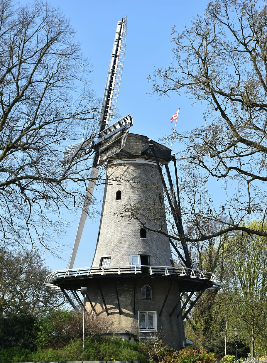 molí, molí de vent, molí holandès, metxes, fulles de molí, detall del molí, molí històric, alkmaar, arbre, cel, arquitectura, estructura construïda, vista d’angle baix, planta, exterior de l'edifici, naturalesa, arbre nu, torre, energia eòlica, dia, aerogenerador, cap gent, turbina, energia renovable, molí de vent tradicional, energia alternativa, branca, generació de combustible i energia, a l'aire lliure, 5K