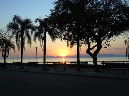 eventide, posta de sol, paisatge, arbre, cel, aigua, silueta, bellesa a la natura, planta, escenics - natura, mar, escena tranquil·la, tranquil·litat, naturalesa, horitzó sobre l’aigua, terra, horitzó, platja, color taronja, tronc de l'arbre, creixement, a l'aire lliure, cap gent, passeig marítim, 5K, CC0, domini públic, lliure de regalies