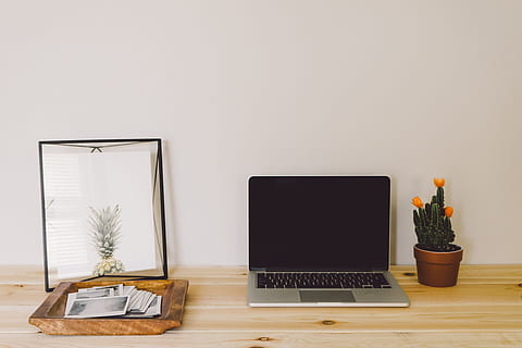 MacBook, Profi, neben, Kaktus, Silber-, schwarz, Laptop-Computer, braun, hölzern, Oberfläche, Macbook Pro, Grün, Pflanze, Topf, Ananas, Laptop, Computer, Schreibtisch, drinnen, keine Leute, Wohnraum, Büro, Technologie, Tabelle, Holz - Material, Geschäft, Wohngebäude, modern, Computerbildschirm, pc, kabellose Technologie, Computer Tastatur, Topfpflanze, Möbel, Kommunikation, Verbindung, blühende Pflanze, Blume, Computerausrüstung, Natur, kopieren sie platz, Tastatur, Zimmerpflanze, Flachbildschirm, 5K, CC0, gemeinfrei, lizenzfrei