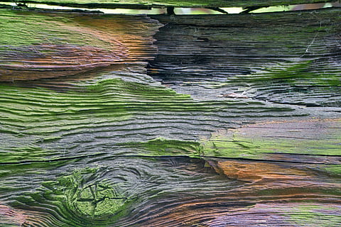 avvio, nave, kahn, vecchio, legno, vecchio, legna, malaticcio, rotto, Müritz, sfondo, intemperie, strutturato, astratto, sfondi, modello, fotogramma intero, nessuno, colore verde, natura, giorno, avvicinamento, all'aperto, bellezza nella natura, pianta, stratificato, multicolore, scena non urbana, solido, scenics - natura, crescita, modello naturale, acqua, 5K, CC0, dominio pubblico, privo di copyright