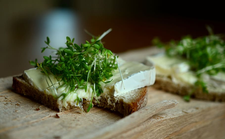 foto de canvi de inclinació, pa, mantega, formatge, coleslaw, superior, creu, herbes, pa de formatge, cobertura de pa, fer mal, gaudeix, menjar, frescor, tall, gourmet, berenar, aperitiu, material de fusta, menjar i beguda, alimentació saludable, benestar, vegetals, enfocament selectiu, taula de tallar, herba, cap gent, primer pla, full, part de la planta, taula, a l'interior, color verd, natura morta, picat, decorar, menjar francès, 4K