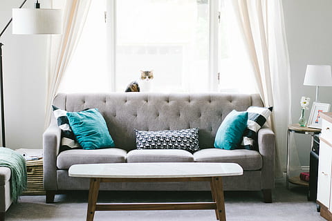 tufted sofa, house, interior, sofa, couch, pillow, window, glass, curtain, table, lampshade, furniture, cat, animal, pet, indoors, domestic Room, apartment, comfortable, living Room, decor, modern, decoration, lifestyles, no People, chair, seat, stuffed, cushion, relaxation, home interior, absence, home showcase interior, empty, day, luxury, cozy, electric lamp, coffee table, 5K