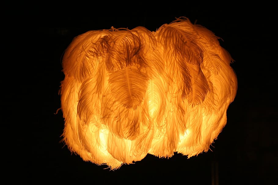 lys, lampe, belysning, fjer, varme - temperatur, brænding, flamme, nat, fare, ildkugle, orange farve, brand - naturligt fænomen, ild, belyst, ingen mennesker, sort baggrund, glødende, studio skud, indendørs, skåret ud, enkelt objekt, tæt på, lys - naturligt fænomen, kopiere plads, belysningsudstyr, natur, 1080P