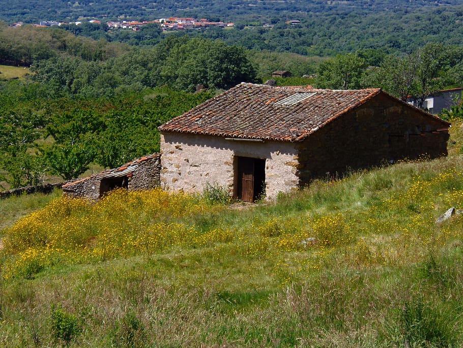casa, prada, prado, paisatge, naturalesa, pastures, prats, verd, camp, escena rural, vell, arquitectura, muntanya, europa, poble, a l'aire lliure, escenics, Església, arquitectura i edificis, estructura construïda, abandonat, edifici residencial, exterior de l'edifici, planta, edifici, sostre, terra, arbre, dia, creixement, barri residencial, cap gent, herba, teula de teulada, 1080P