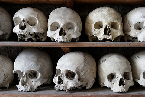 white, human, skull decors, wooden, shelf, skull, frame, bone, cranium, anatomy, ossuary, human skeleton, human skull, skeleton, human bone, human body part, architecture, indoors, body part, fear, horror, spooky, history, the past, people, still life, human face, waiting, 2K, CC0, public domain, royalty free