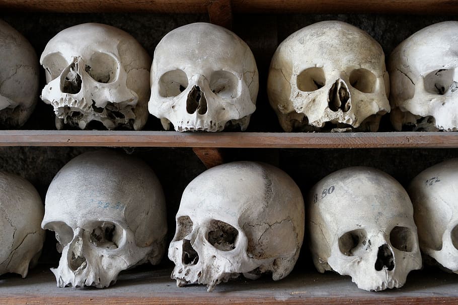 bílý, člověk, dekory lebky, dřevěný, police, lebka, rám, kost, anatomie, kostnice, lidská kostra, lidská lebka, kostra, lidská kost, část lidského těla, architektura, uvnitř, část těla, strach, hrůza, strašidelný, Dějiny, minulost, lidé, stálý život, lidská tvář, čekání, 2K