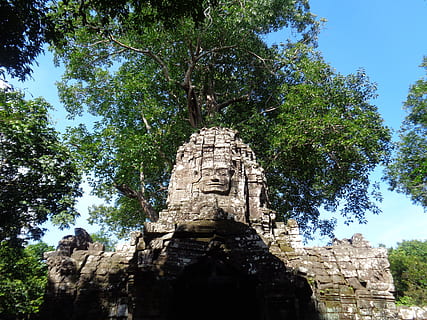 cambodia, ruiner, træer, templer, natur, gammel, træ, historie, arkitektur, fortiden, plante, bygget struktur, religion, sted for tilbedelse, tro, spiritualitet, Kunst og håndværk, lav vinkel visning, bygning, dag, rejsemål, gamle civilisation, ingen mennesker, stenmateriale, udendørs, ødelagt, 5K, CC0, offentligt domæne, royaltyfrie