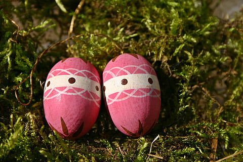 påskeegg, rosa, påske nest, påske dekorasjoner, vår, fargerik, påske, dekorasjon, egg, mose, symbol, farge, pensjonert, mønster, påske dekor, mat, feiring, ferie, mat og Drikke, nærbilde, anlegg, kunst og Håndverk, rosa farge, kreativitet, natur, ingen folk, gress, dag, fokusere på forgrunnen, stilleben, ferie - arrangement, utendørs, 2K, CC0, offentlig domene, opphavsrett gratis