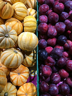 fruit, légume, citrouille, prune, aliments, l'automne, fraîcheur, biologique, mûr, agriculture, saison, couleur orange, la nature, Nourriture et boisson, alimentation saine, bien-être, choix, grand groupe d'objets, nature morte, variation, abondance, plein cadre, marché, personne, à vendre, vue grand angle, étal de marché, fermer, arrière-plans, variété, 2K, CC0, domaine public, libre de droits