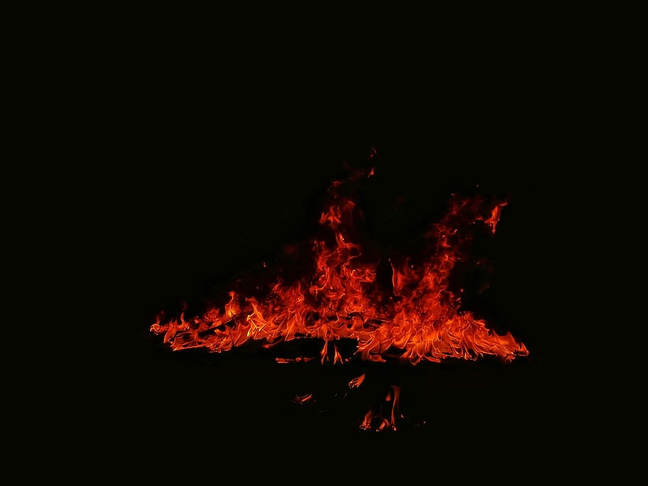 Foto, bål, nattetid, tæt på, flamme, ild, brænding, mørk, nat, brand - naturligt fænomen, varme - temperatur, orange farve, natur, ingen mennesker, kopiere plads, bevægelse, glødende, sort baggrund, udendørs, lejrbål, log, Camping, begivenhed, 4K