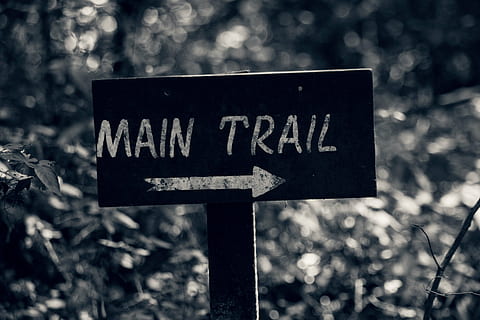 Camí, ruta, bosc, carretera, comunicació, signe, text, orientació, guió occidental, símbol de fletxa, símbol, cap gent, centrar-se en primer pla, informació, senyal direccional, direcció, senyal de trànsit, signe d'informació, primer pla, naturalesa, a l'aire lliure, guió, planta, missatge, 5K, CC0, domini públic, lliure de regalies