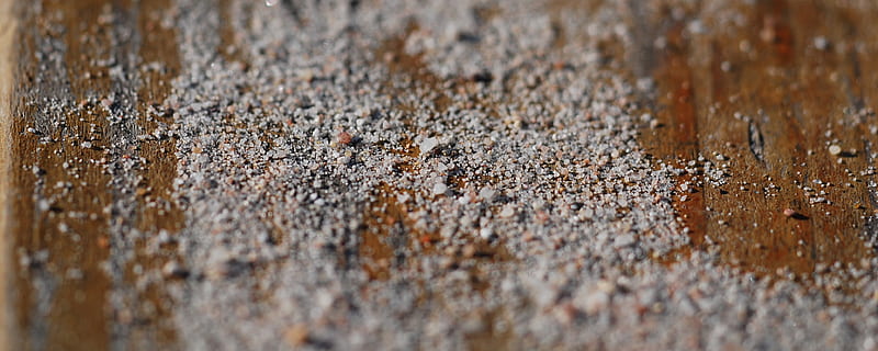 zand, muur, steen, patroon, oud, oppervlakte, zand textuur, materiaal, ontwerp, architectuur, bouw, rots, tegel, stenen muur, bruin, structuur, selectieve aandacht, geen mensen, detailopname, dag, volledig kader, getextureerde, natuur, hout - materiaal, buitenshuis, fabriek, groep dieren, achtergronden, insect, dierlijke thema's, land-, ongewerveld, schoonheid in de natuur, dierenleven, verweerde, 4K, CC0, publiek domein, royaltyvrij