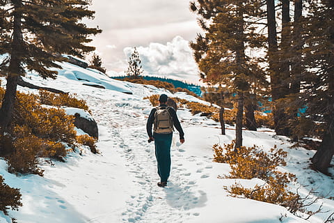 person, gå, træer, vinter, mand, sne, Brun, dagtimerne, vandring, udforske, træ, kontrast, Skov, farve sortering, Yosemite, kold temperatur, en person, bagfra, fritidsaktivitet, stående, fuld længde, livsstil, rigtige mennesker, skønhed i naturen, varme tøj, natur, tøj, Kvinder, dag, voksen, udendørs, menneskelige arm, 5K, CC0, offentligt domæne, royaltyfrie