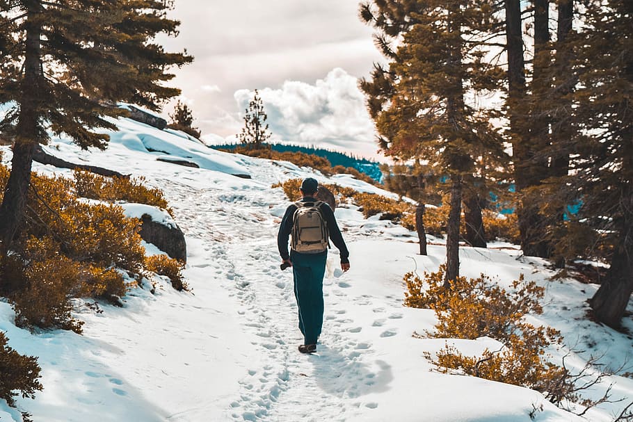 person, gå, træer, vinter, mand, sne, Brun, dagtimerne, vandring, udforske, træ, kontrast, Skov, farve sortering, Yosemite, kold temperatur, en person, bagfra, fritidsaktivitet, stående, fuld længde, livsstil, rigtige mennesker, skønhed i naturen, varme tøj, natur, tøj, Kvinder, dag, voksen, udendørs, menneskelige arm, 5K