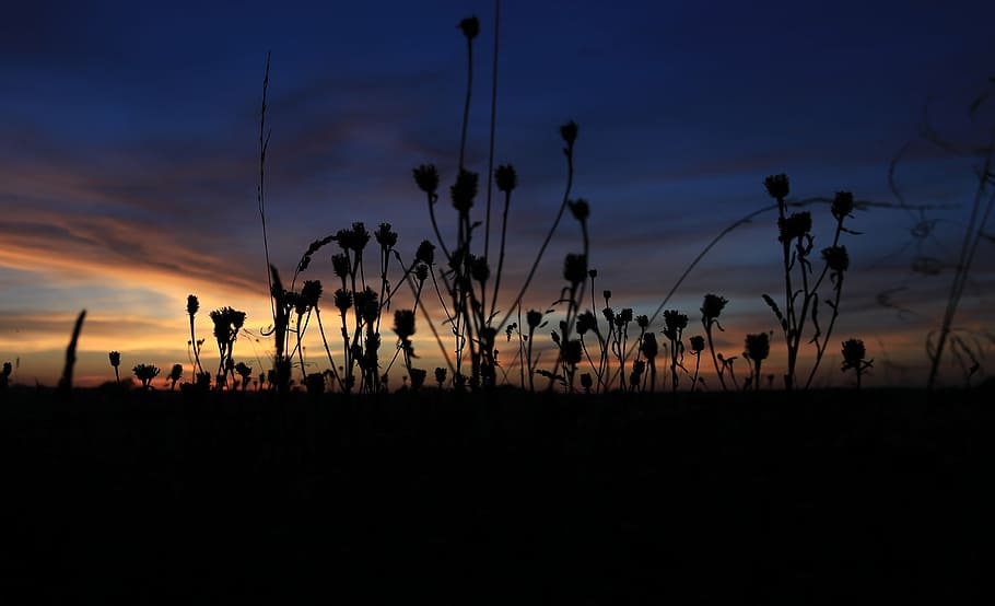 Polen, Wolken, Sonnenuntergang, Himmel, Landschaft, Herbst, Abend, polen dorf, Wanderpfade, Natur, der Nationalpark, Wiese, Feld, Tourismus, Dorf, Silhouette, Schönheit in der Natur, wolke - himmel, Ruhe, ruhige Szene, Szenen - Natur, keine Leute, Pflanze, Wachstum, Land, orange Farbe, idyllisch, Nicht-städtische Szene, Dämmerung, draußen, Umgebung, 4K