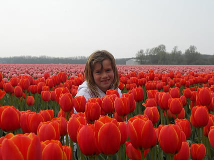 bollen, oranje, natuur, veld-, buitenshuis, rood, landbouw, glimlachen, een persoon, fabriek, land-, kind, kinderjaren, bloem, bloeiende plant, vrijetijdsbesteding, echte mensen, meisjes, versheid, levensstijlen, schoonheid in de natuur, groei, dag, portret, tulp, 4K, CC0, publiek domein, royaltyvrij