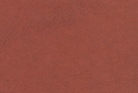 textil, Piele, model, maro, textură, țesut, fundal, fundaluri, material, texturată, ascunde, a închide, stare brută, abstract, animal, piele de animal, cadru complet, montare pe perete, nici o persoana, roșu, construită, arhitectură, fundal colorat, beton, zi, metal, perete de beton, fundaluri abstracte, curat, texturat efect, oţel, aliaj, luxos, 1080P, CC0, domeniu public, fără drepturi de autor