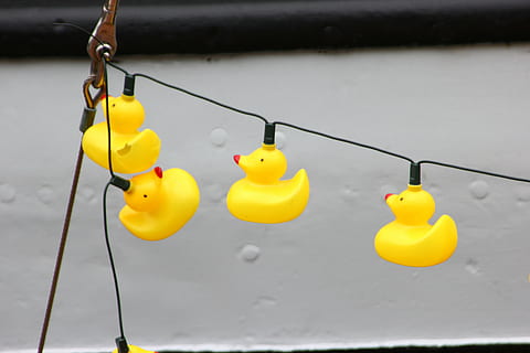Kunststoff, Enten, leeren, Seefahrt, Schiffstreffen, hängend, Gelb, Wasser, keine Leute, Natur, Seil, Gruppe von Objekten, Sicherheit, Nahansicht, Tag, Badeente, draußen, Verbindung, Darstellung, Geflügel, Tier, Fokus auf den Vordergrund, Stange, in einer Reihe, auf dem Wasser schwimmen, 5K, CC0, gemeinfrei, lizenzfrei