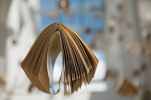 selective, focus photography, book, exposition, composition, poland, zeromski, kielce, ciekoty, the glass house, masłów, education, knowledge, library, writing, school, close-up, focus on foreground, selective focus, indoors, no people, hanging, day, pattern, design, shape, domestic life, geometric shape, copy space, metal, business, retail, consumerism, home, 2K, CC0, public domain, royalty free