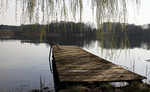 jetty, web, entry, water, lake, roma table, tree, plant, reflection, wood - material, tranquility, nature, pier, day, no people, beauty in nature, tranquil scene, non-urban scene, scenics - nature, outdoors, wood, empty, wood paneling, 5K, CC0, public domain, royalty free