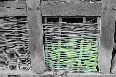 zarzo, material natural, estructura, modelo, presunto, nadie, arquitectura, día, estructura construida, exterior del edificio, metal, seguridad, la seguridad, material de madera, al aire libre, pared - característica de la construcción, proteccion, color verde, naturaleza, edificio, de cerca, planta, pared, puerta, 4K, CC0, dominio público, libre de derechos