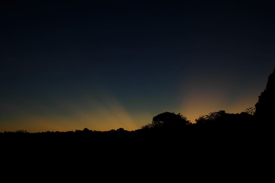 posta de sol, guyana, naturalesa, cel, silueta, fosc, escena tranquil·la, paisatge, tranquil·litat, bellesa a la natura, arbre, escenics - natura, medi ambient, còpia espai, cap gent, planta, escena no urbana, idíl·lic, terra, a l'aire lliure, color taronja, 2K