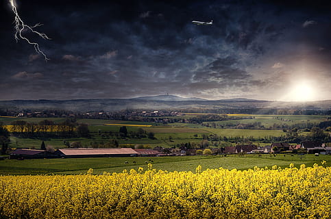 galben, câmp de floarea soarelui de rapiță, peste, deschis, albastru, cer, peisaj, dispozitie, nori, furtună, bliț, forta naturii, amenințător, thundercloud, gewitter stimmung, mediu inconjurator, teren, rural, floare, camp, agricultură, scenice - natura, frumusețe în natură, plantă, planta cu flori, o scenă liniștită, rapiță de rapiță, a decupa, natură, liniște, fermă, creştere, nici o persoana, în aer liber, primăvară, 4K, CC0, domeniu public, fără drepturi de autor