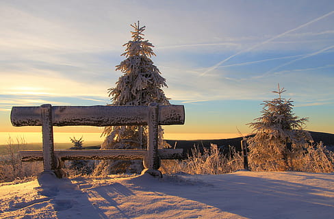 bænk, skyer, kold, natur, sne, solopgang, solnedgang, vinter, kold temperatur, himmel, træ, plante, Mark, jord, ingen mennesker, skønhed i naturen, ro, scenics - natur, rolig scene, sollys, miljø, dækker, bygget struktur, udendørs, 4K, CC0, offentligt domæne, royaltyfrie
