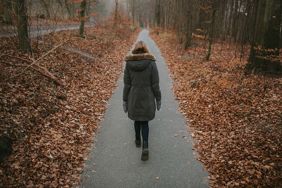 women, walking, pathway, surrounded, dried, leaves, woman, middle, sidewalk, withered, trees, forest, path, person, walk, passage, autumn, plant part, leaf, tree, rear view, one person, full length, adult, change, winter, nature, land, real people, coat, clothing, day, warm clothing, outdoors, hair, hood - clothing, autumn collection, winter coat, woodland, hairstyle, 5K