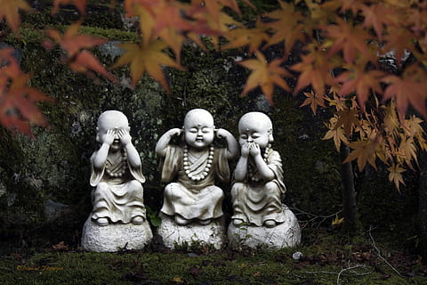 nu vad nici un rau, mic, statui, expresie, statui mici, religie, statuie, spiritualitate, budism, sculptură, buddha, Asia, culturi, toamnă, copac, nici o persoana, frunze, natură, reprezentare umană, reprezentare, artă și sculptură, asemănarea bărbaților, plantă, zi, creativitate, asemănarea feminină, parte a plantelor, în aer liber, ambarcațiune, 1080P, CC0, domeniu public, fără drepturi de autor