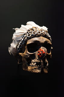 crani, cap, esquelet, os, ossos, museu, fons negre, menjar i beguda, cap gent, tir de l'estudi, fruita, primer pla, a l'interior, natura morta, esquelet humà, sol objecte, còpia espai, creativitat, horror, Halloween, fantasmal, menjar, representació, 4K, CC0, domini públic, lliure de regalies