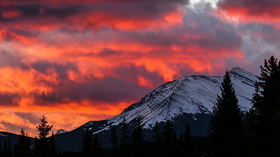 neu, cobert, muntanya, rosa, núvols de cel, Alps de muntanya, cel vermell, cloudscape, posta de sol, sortida del sol, arbres, silueta, naturalesa, a l'aire lliure, arbre, núvol, cel, Canadà, alberta, canmore, vermell, taronja, caure, paisatge, núvol - cel, escenics - natura, bellesa a la natura, temperatura de fred, hivern, Serra, medi ambient, tranquil·litat, escena tranquil·la, cel dramàtic, cap gent, planta, muntanya nevada, pi, cim de muntanya, arbre de coníferes, bosc de pi, 4K, CC0, domini públic, lliure de regalies