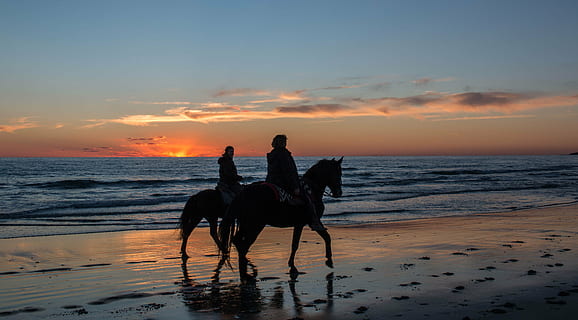 to, personer, ride, heste, solnedgang, sol, skyer, strand, hav, himmel, lys, mørke skyer, aften sol, berolige, landskab, natur, vand, ocean, roligt hav, costa, blå, horisont, fredelig, klarhed, udendørs, ferie, fred, mennesker, sand, silhuet, ferier, herrer, kamel, skumring, rejsemål, baggrundsbelyst, jord, pattedyr, husdyr, dyr, indenlandske, dyre temaer, skønhed i naturen, kæledyr, fritidsaktivitet, to personer, voksen, horisont over vand, ridning, 5K, CC0, offentligt domæne, royaltyfrie