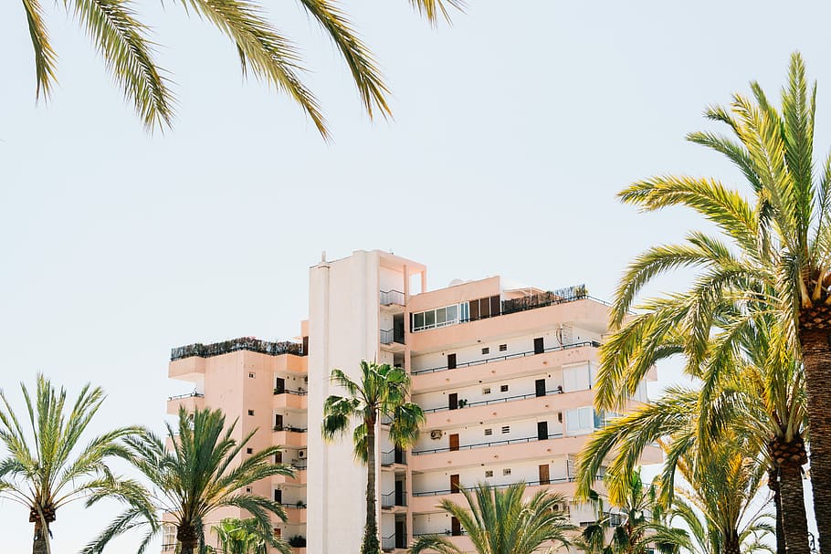 blanco, hormigón, edificio, junto a, verde, palmera, cielo, tiempo de día, edificio rosa de gran altura, árbol, barandilla, ventana, arte deco, trópico, edificio de apartamentos, recurso, arquitectura, palma, hotel, casa, barrera, cerca, exterior del edificio, clima tropical, estructura construida, palmera datilera, planta, naturaleza, Distrito residencial, crecimiento, apartamento, ciudad, día, nadie, cielo limpio, destinos de viaje, hoja, al aire libre, hoja de palma, lujo, arbol tropical, 5K