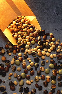 semi di soia, colorato, Multi, semi, piante, flora, cibo, cibo e bevande, freschezza, grande gruppo di oggetti, vista dall'alto, natura morta, mangiare sano, nessuno, benessere, abbondanza, in casa, tavolo, avvicinamento, Noce, cibo crudo, Marrone, fagiolo, frutta, verdura, seme, cibo vegetariano, tentazione, 2K, CC0, dominio pubblico, privo di copyright