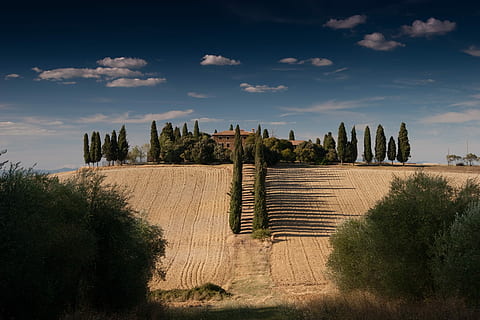 beix, camí, verd, alt, arbres, líder, marró, casa, blanc, núvols, blau, cel, Entremig, casa marró, núvols blancs, cel blau, xiprer, Toscana, val d'orcia, naturalesa, agricultura, escena rural, paisatge, xiprer italià, Itàlia, camp, siena, escenics, pienza, arbre, granja, cultura italiana, a l'aire lliure, turó, regió del chianti, estiu, europa, bellesa a la natura, escena no urbana, panoràmica, núvol - cel, cap gent, planta, arquitectura, terra, estructura construïda, història, escenics - natura, el passat, exterior de l'edifici, escena tranquil·la, destinacions de viatge, tranquil·litat, arqueologia, civilització antiga, 2K, CC0, domini públic, lliure de regalies