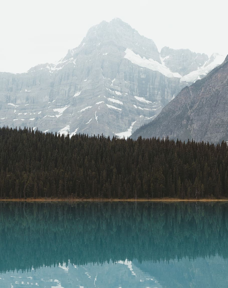vistes del matí, alberta, verd, arbres, rocós, muntanya, durant el dia, fons de pantalla, fons de pantalla de l'iPhone, fons de l'iPhone, bloquejar el fons de la pantalla, llac, arbre, reflexió, paisatge, bosc, blau, reflejo, agua., bosque, escenics - natura, bellesa a la natura, escena tranquil·la, tranquil·litat, aigua, temperatura de fred, hivern, neu, cap gent, naturalesa, planta, Serra, escena no urbana, dia, medi ambient, a l'aire lliure, muntanya nevada, pi, cim de muntanya, arbre de coníferes, 4K