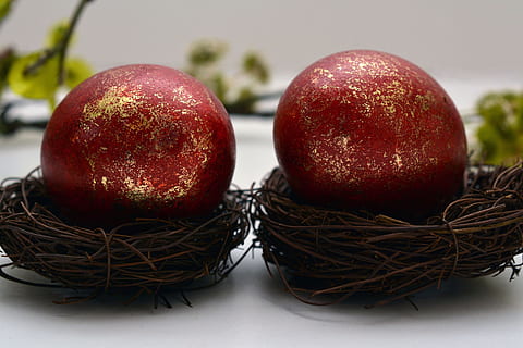 ous de Pasqua, niu de Pasqua, Pasqua, ou, decoració, decoració de pasqua, Feliç Pasqua, vermell, bonic, brillant, ous de colors, color, decoracions de pasqua, pintat, personalitzat, branca, ou de Pasqua, salutacions de pasqua, celebració de Pasqua, menjar i beguda, menjar, alimentació saludable, frescor, benestar, primer pla, natura morta, fruita, cap gent, a l'interior, centrar-se en primer pla, celebració, taula, planta, naturalesa, grup d'objectes, orgànic, madur, 4K, CC0, domini públic, lliure de regalies