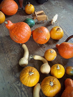 rustic, tărtăcuţă, suc de fructe, cădea, vacanţă, lemn, toamnă, epocă, cadru, mulțumire, de lemn, masa, recolta, tradiţional, decor, celebrare, dovleac, fericit, festiv, octombrie, de toamnă, noiembrie, zi, maro, culoare portocalie, vegetal, Halloween, sezon, lemn - material, alimente, natură, squash - legume, prospeţime, galben, a decupa, fruct, mancare si bautura, în interior, mâncat sănătos, bunăstare, natură moartă, vedere în unghi mare, nici o persoana, a închide, grup mare de obiecte, mancare cruda, direct deasupra, portocale, 4K, CC0, domeniu public, fără drepturi de autor