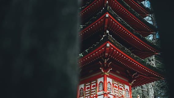 วัด, สีแดง, สีดำ, pagola, ภาพถ่ายระยะใกล้, อาคาร, โครงสร้าง, สถาปัตยกรรม, โครงสร้างที่สร้างขึ้น, ไม่มีคน, ภายนอกอาคาร, มุมมองที่ต่ำ, ศาสนา, สถานที่สักการะ, จิตวิญญาณ, ความเชื่อ, คุณสมบัติสถาปัตยกรรม, ประวัติศาสตร์, ออกแบบ, จุดหมายปลายทางการท่องเที่ยว, แบบแผน, ที่ผ่านมา, เพดาน, หรูหรา, 4K, CC0, โดเมนสาธารณะ, ค่าลิขสิทธิ์ฟรี